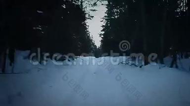 在寒冷的冬夜，在森林中奔跑或逃离的被惊吓者的手持录像